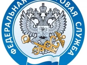 Здоровый расчет по налогам