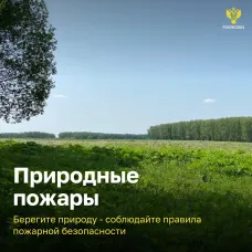 Природные пожары