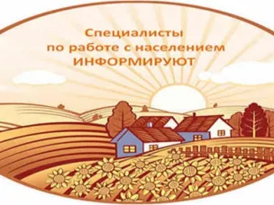 О работе муниципальной пожарной охраны