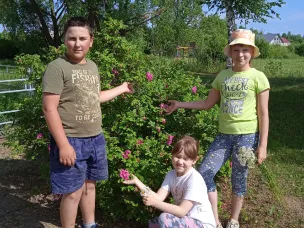 Экскурсионная разведка «В мире растений родного края»