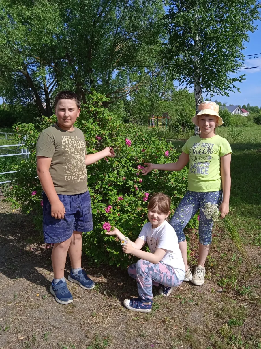 Экскурсионная разведка «В мире растений родного края»