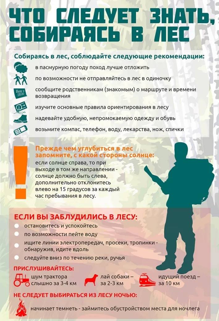 Как не заблудиться в лесу
