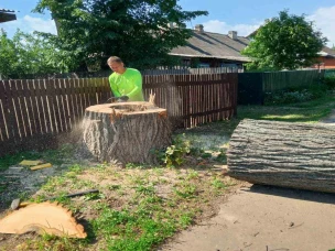 Спил аварийных деревьев