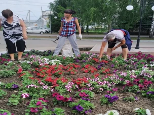 Уход за цветочными клумбами