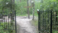 Валуны, принесенные Днепровским оледенением