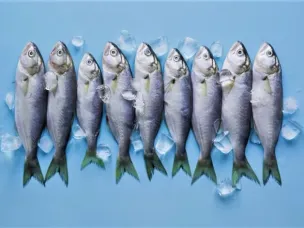 Опасность под чешуей: как избежать описторхоза и других заболеваний при употреблении рыбы